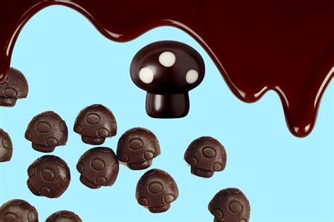 Decoding the Labels: Understanding Dosage and Potency in Magic Mushroom Chocolate